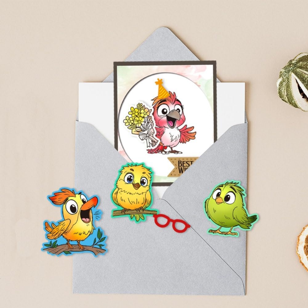 Funny Bird Clear Stamps for Sc - Clear Silicone Stamps For Card Making 评论和价格
