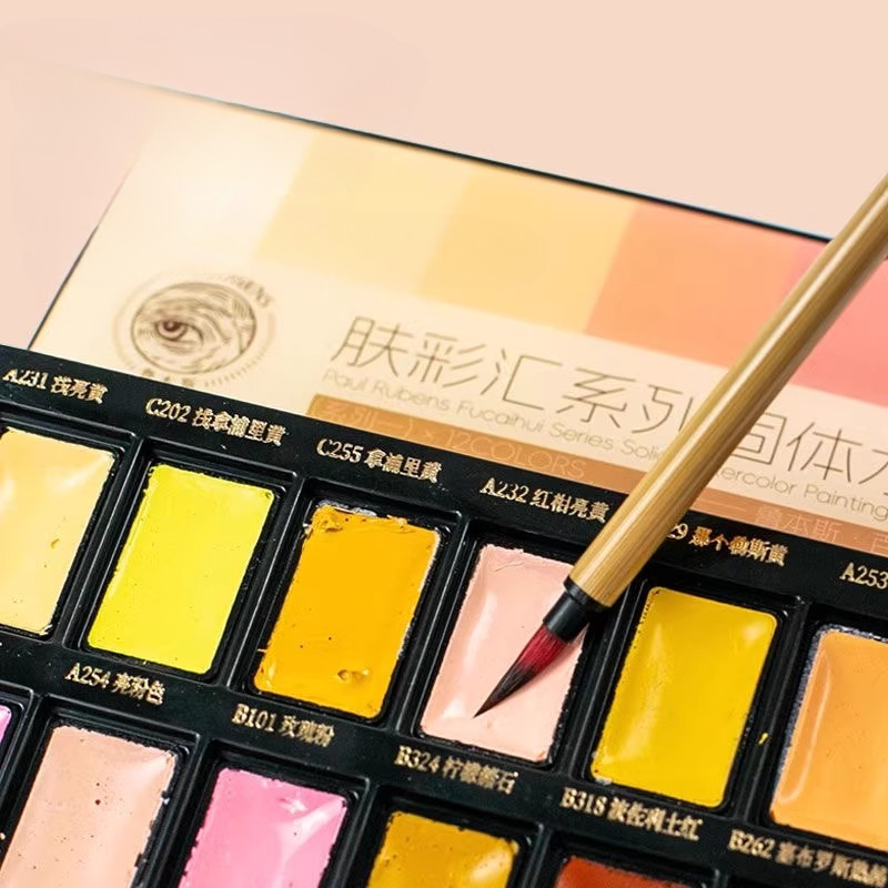 12color Skin Color Solid Water - Watercolor Paint Set Solid Pigment 评论和价格